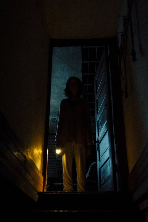 Shadow (2020) poster