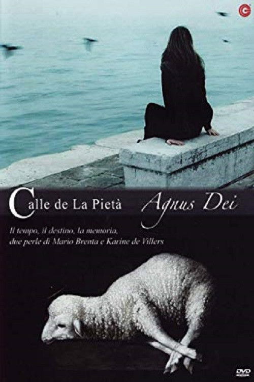 Calle de la pietà (2010) poster