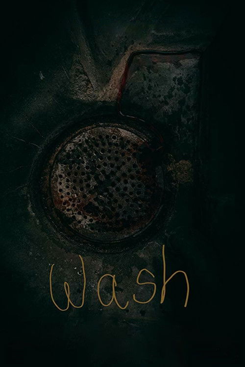 Wash (2019) poster