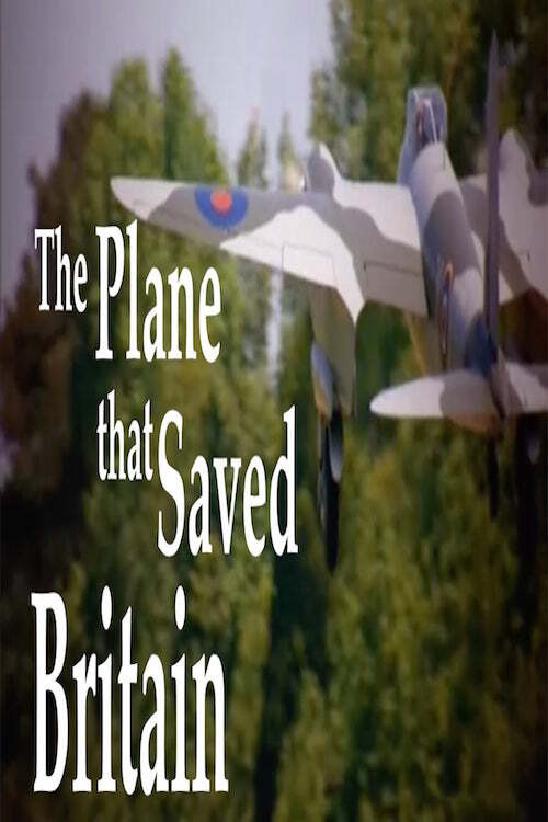 The Plane That Saved Britain (2013) poster