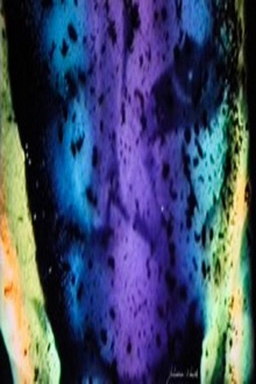 AUTOPORTRAIT & LE MONDE (1997) poster