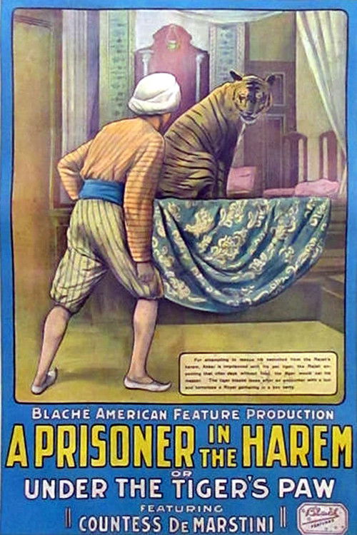 A Prisoner in the Harem (1913) poster