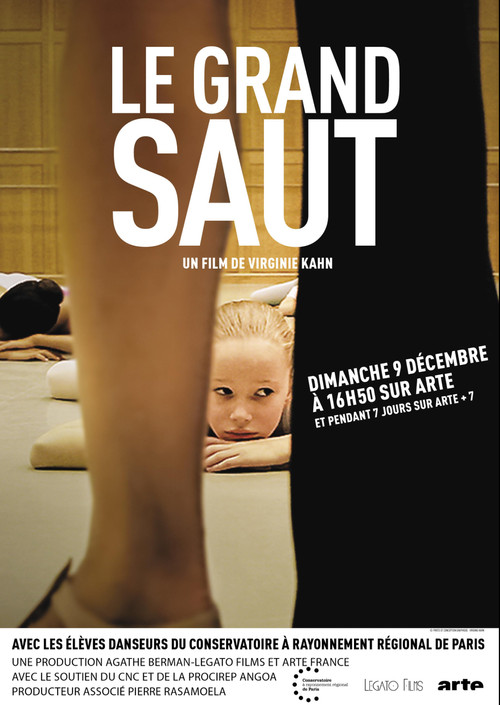 Le grand saut poster
