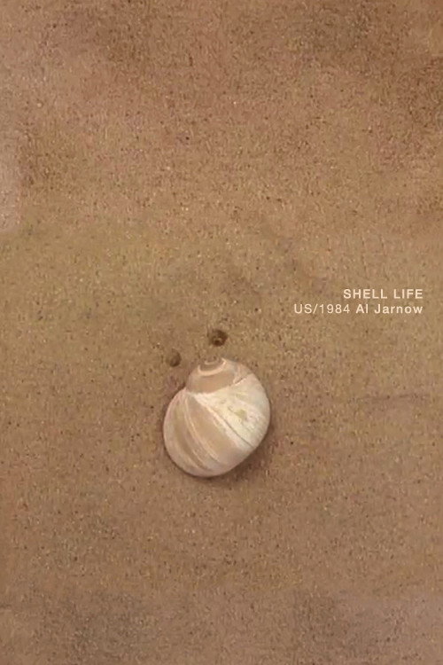 Shell Life (1984) poster