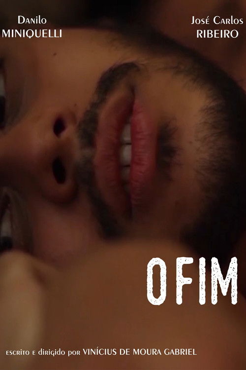 O Fim (2016) poster