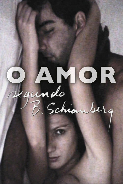 O Amor Segundo B. Schianberg (2010) poster