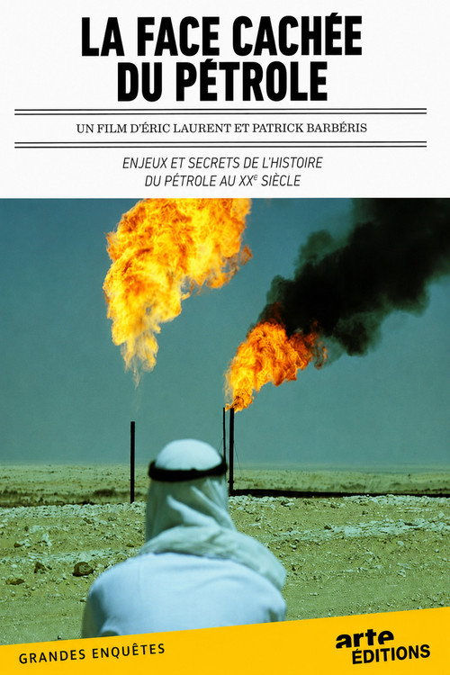 La face cachée du pétrole (2010) poster