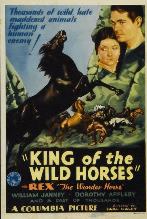 King of the Wild Horses (1933) poster