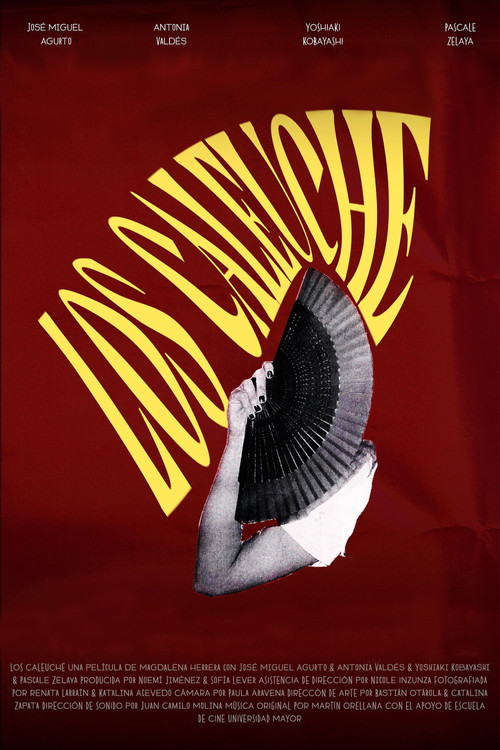 Los Caleuche poster