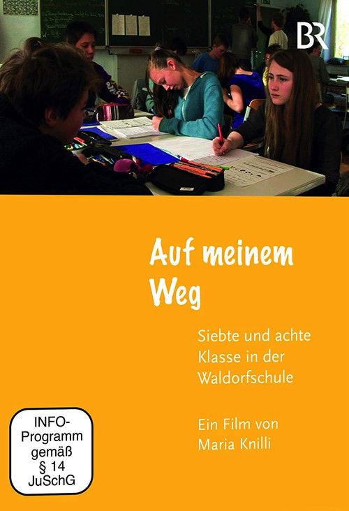 Auf meinem Weg (2017) poster
