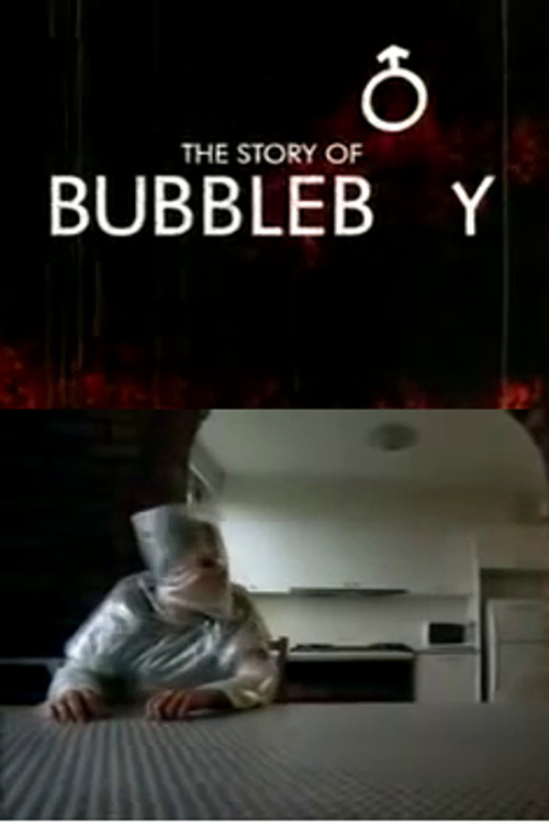 The Story of Bubbleboy (2006) poster