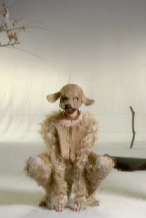 Laddy and the Lady (2006) poster