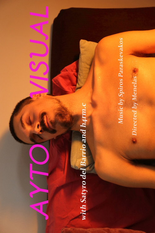 AUTO/VISUAL (2023) poster