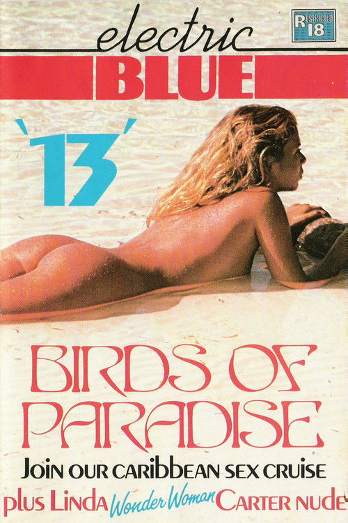 Electric Blue 13 (1984) poster