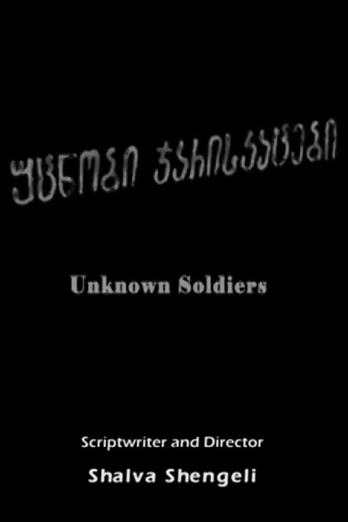 Unknown Soldiers (2008) poster