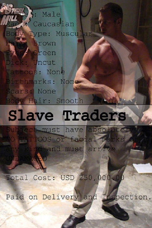 Slave Traders (2011) poster