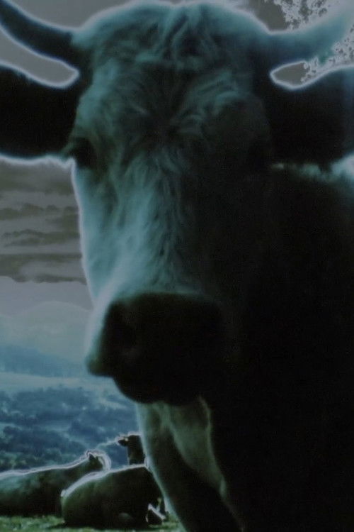 Darkness, Darkness, Burning Bright – Prelude (2022) poster