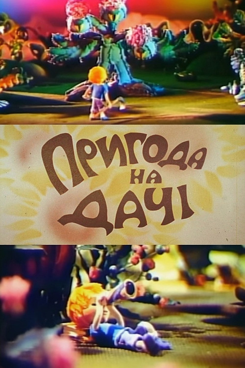 The Dacha Adventure (1980) poster