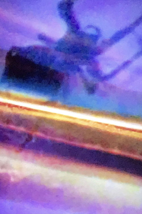 Araneus II (2010) poster