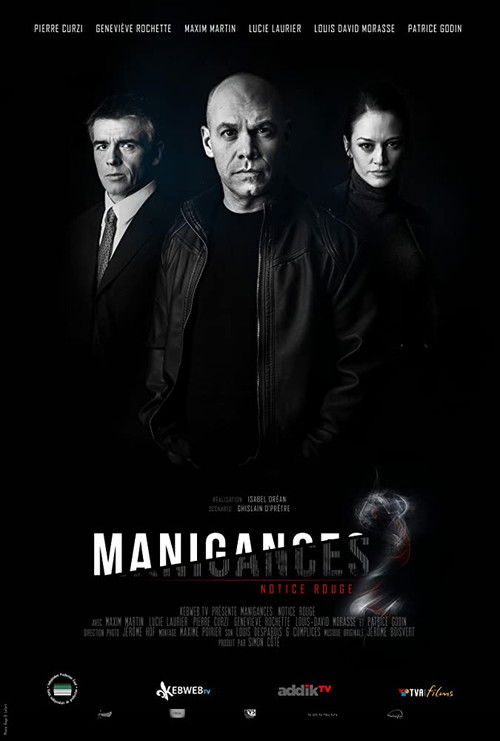 Manigances: Notice rouge (2013) poster