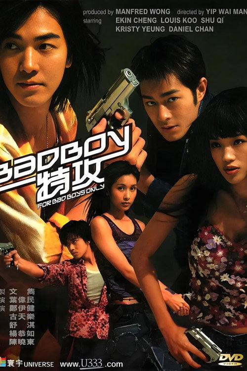 BadBoy特攻 (2000) poster