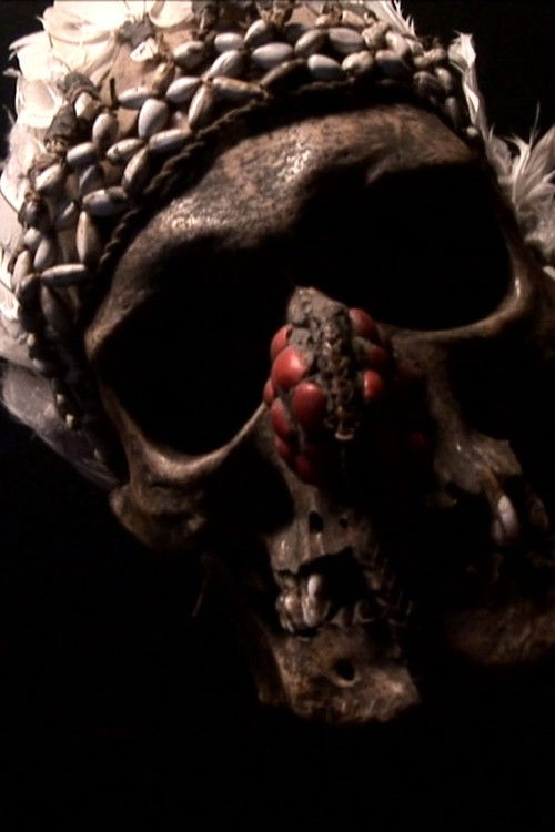 Quai Branly (Musées imaginaires II) (2013) poster