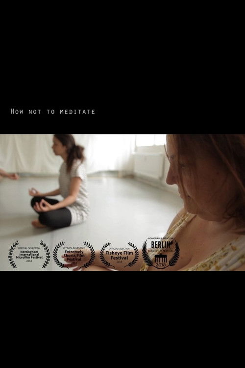 How Not To Meditate (2018) poster