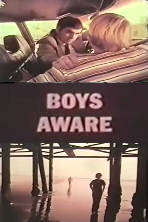 Boys Aware (1973) poster