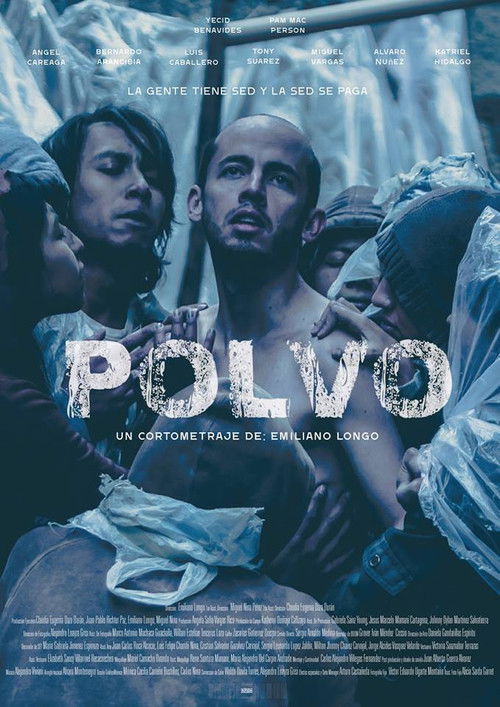 Polvo poster
