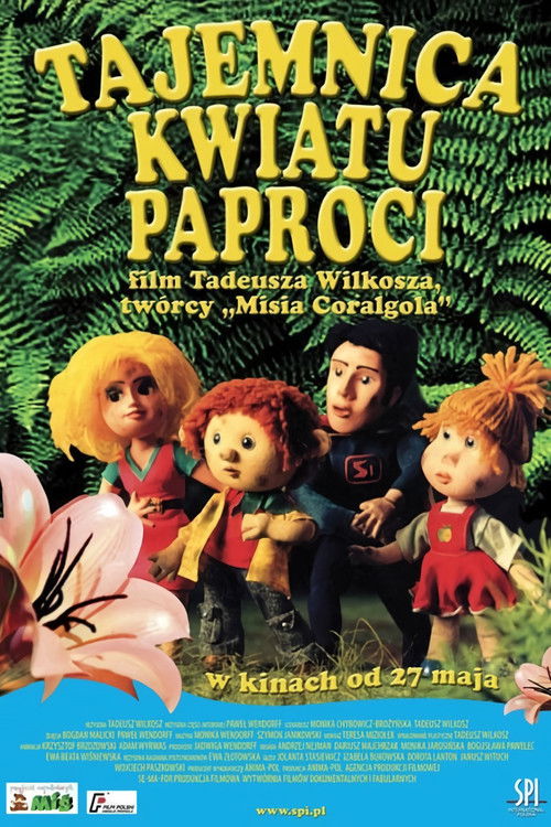 The Secret of Fern Flowers (2004) poster