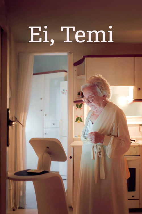 Hey, Temi (2024) poster