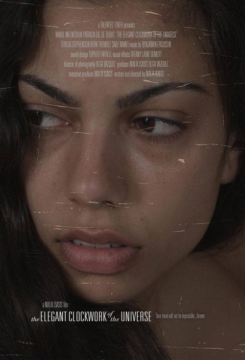 The Elegant Clockwork of the Universe (2013) poster