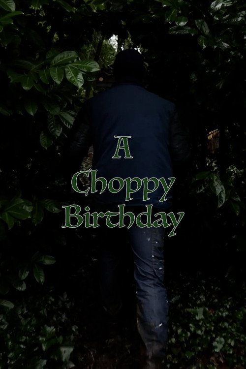 A Choppy Birthday (2025) poster