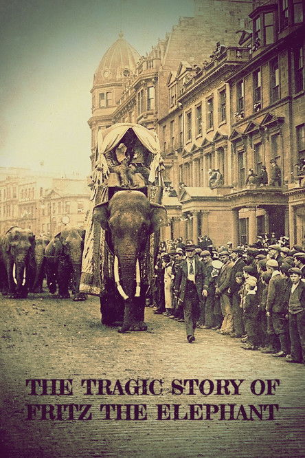 La Tragique Histoire de Fritz l'éléphant (2023) poster