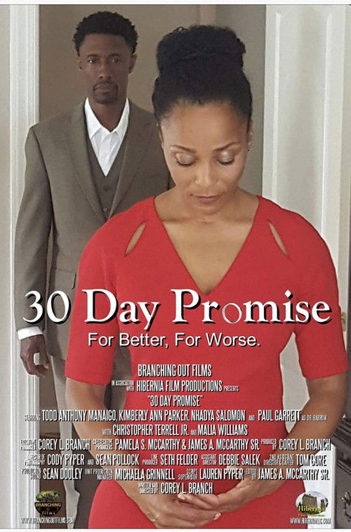 30 Day Promise (2017) poster