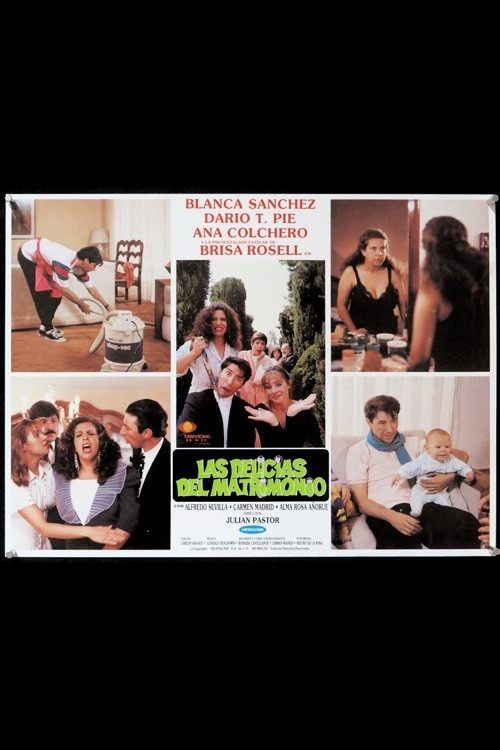 Las delicias del matrimonio (1994) poster