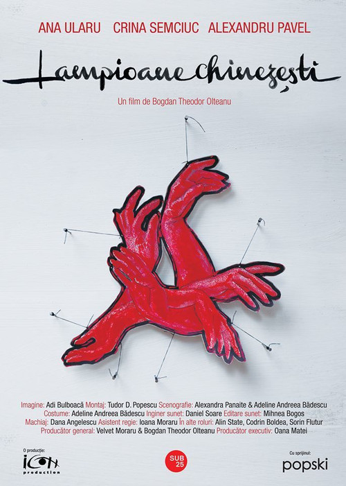 Chinese Lanterns (2015) poster