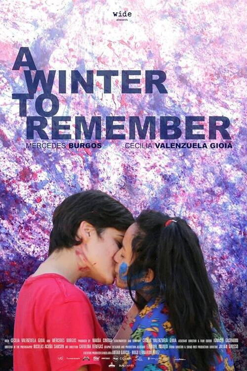 A Winter to Remember (2016) poster