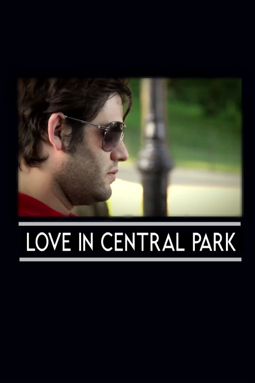 Love in Central Park (2010) poster