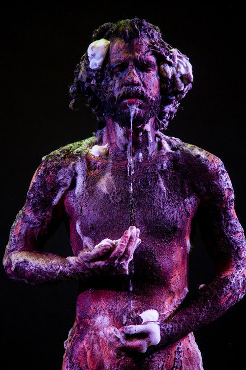 Pele Digital (2018) poster