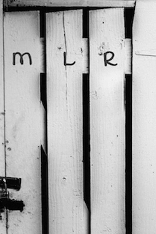 Momentary Lapse of Reason (2018) poster