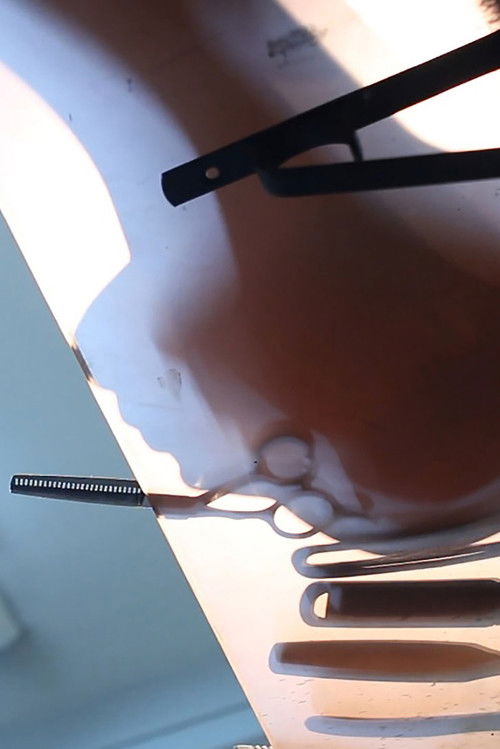 Coiffeur (2016) poster