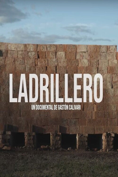 Ladrilleros (2019) poster