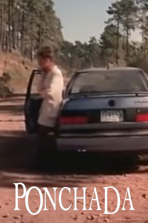 Flattened (1994) poster