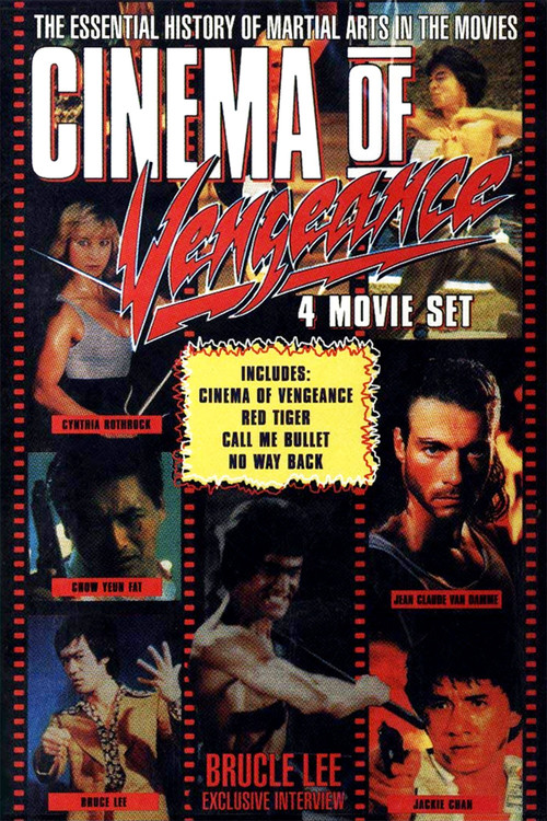 Cinema of Vengeance (1994) poster