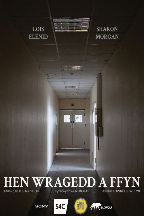 Hen Wragedd a Ffyn (2021) poster