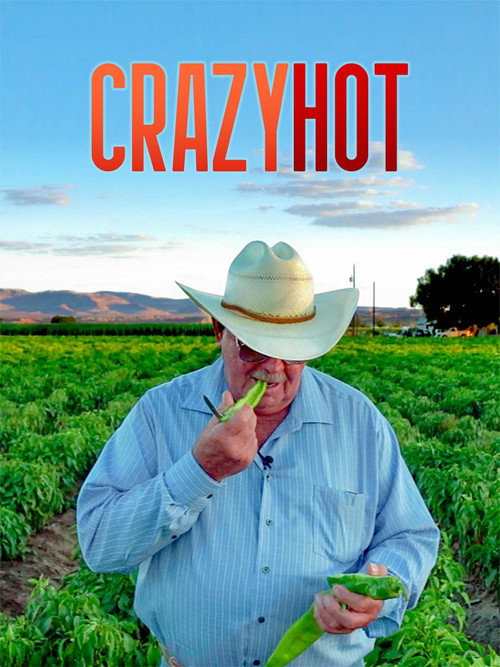 CrazyHot (2020) poster