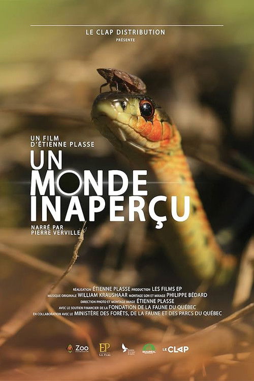 Un monde inaperçu (2017) poster