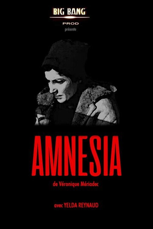 Amnesia (2001) poster