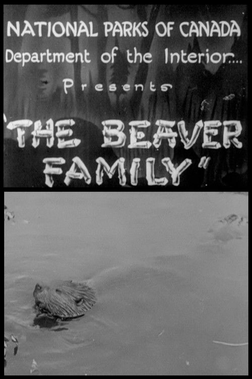 Beaver Family (1929) poster